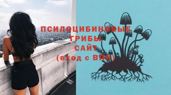 МДПВ Алзамай